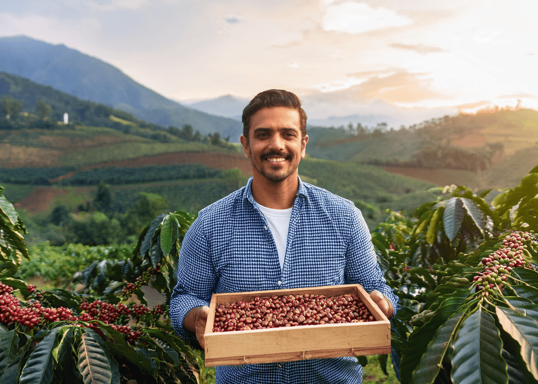 The Impact of Fair Trade and Organic Coffee: How Your Cup Supports Global Communities - Jones Ranch Coffee Company