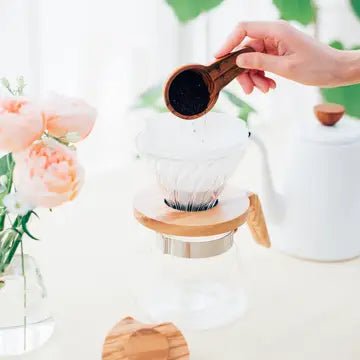 Hario V60 Glass Dripper 02 - Jones Ranch Coffee Company