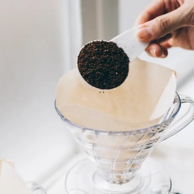 Hario V60 Paper Filters - Jones Ranch Coffee Company