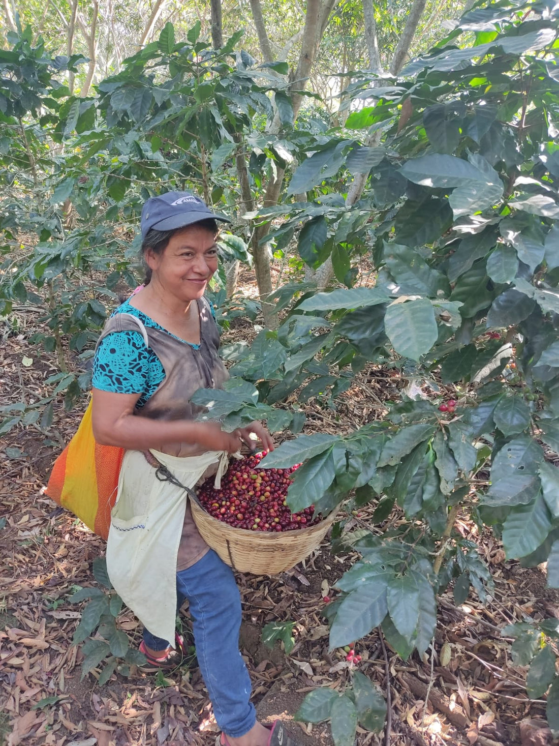 The Impact of Fair Trade and Organic Coffee: Supporting Farmers, Supporting Communities - Jones Ranch Coffee Company